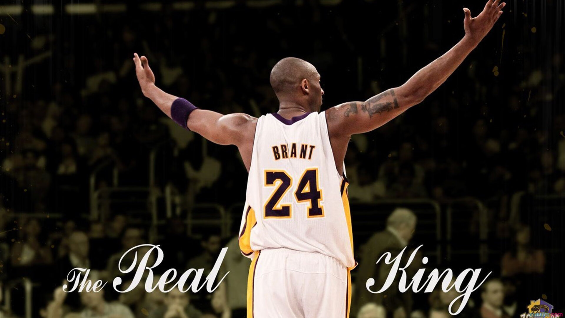 唐纳德·高尔凭借个人能力助袋鼠队完成关键进攻,唐纳德高斯简介